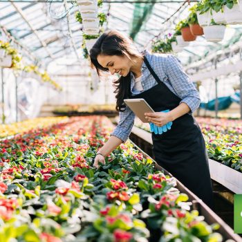 Counterpoint Lawn and Garden Woman Standing Over Flowers