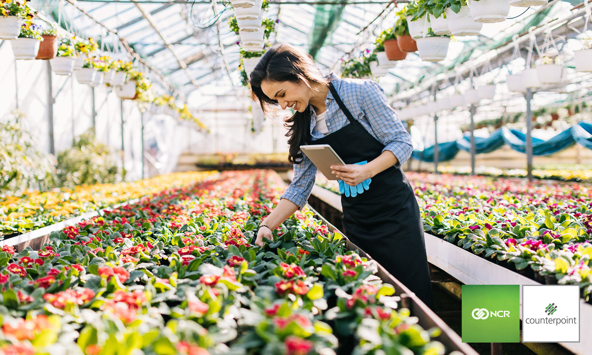 Counterpoint Lawn and Garden Woman Standing Over Flowers